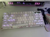 W.Z. review photo