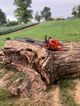 Shane S. review photo
