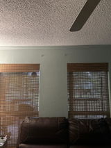 Lisa in Florida review photo