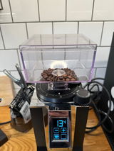 Steinn review photo