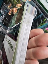 Tristan review photo