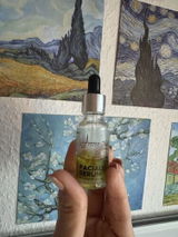 Marijana M review photo