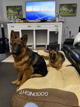 Kim N. review photo