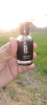 Mohsin ali khan Sulemani review photo