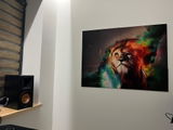 Tadas Sargautis review photo