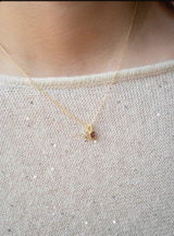キティ・チャン review photo