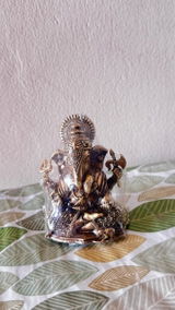 Pallavi Mehta review photo