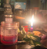 Tami L. review photo
