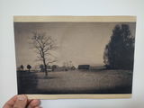 Žilvinas G. review photo