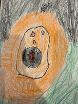 Sawyer Family review photo