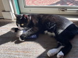 Brandy L review photo