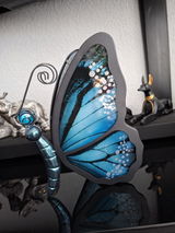 Anita Van Diest review photo