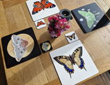 Hannah MacIver review photo