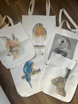 Nature’s Illustrator review photo