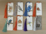 Nature’s Illustrator review photo