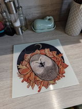Hannah MacIver review photo