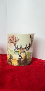 Kath Ledward Art review photo