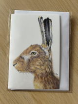 Nature’s Illustrator review photo