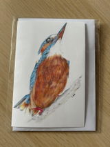 Nature’s Illustrator review photo