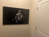 Brandon Liptrot review photo