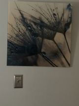 Wanda Barnes review photo
