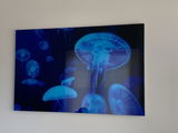 Zita Netzel review photo