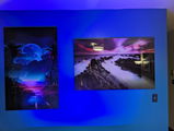 Bruce WIgell review photo