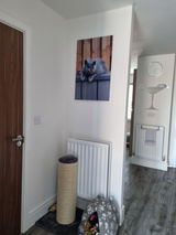 Carl Johnson review photo