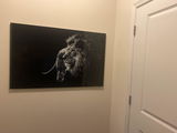 Brandon Liptrot review photo
