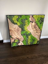 Michael Passaglia review photo