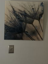 Wanda Barnes review photo