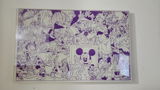 Adam Smith review photo