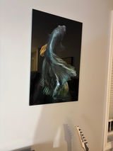 Vincent Alessandrini review photo