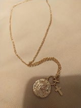 Rosa review photo