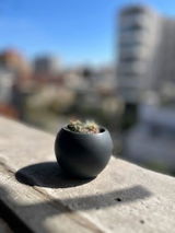 Cristian M. review photo
