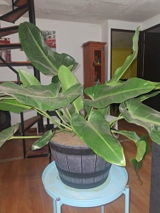 Marcelo G. review photo