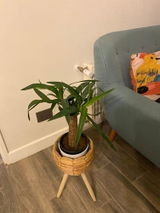 Claudia Z. review photo