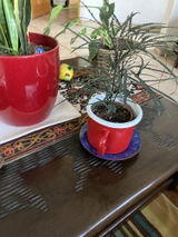 Jimena G. review photo