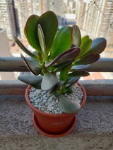 Euri M. review photo