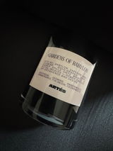 X review photo