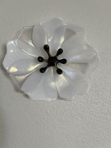 White w.s.o.7. review photo