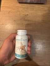 Massimo review photo