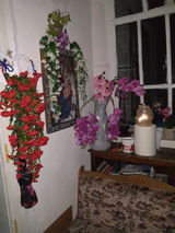 Corina Georgiana Chirila review photo