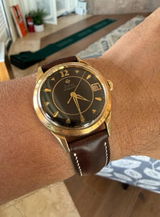 Warren Ho review photo