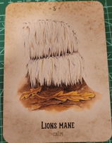 Louisa B. review photo
