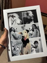 P review photo