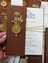 Nicoleta Dragomir review photo