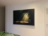Sascha S. review photo