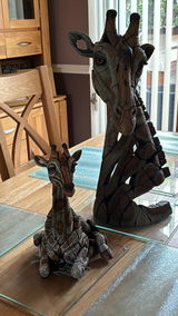 Suzanne Gaywood review photo