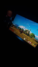 D.S. review photo